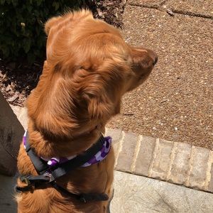 Meet your Posher, Brooke